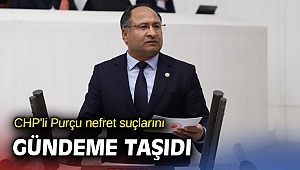 CHP'li Purçu nefret suçlarını gündeme taşıdı
