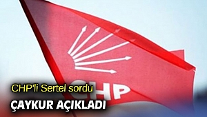 CHP'li Sertel sordu ÇAYKUR açıkladı