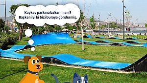 Gaziemir’in sevimli dostları sosyal medyada…