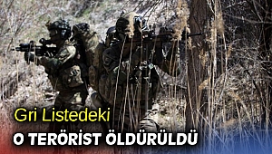 Gri Listedeki o terörist öldürüldü
