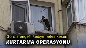 İzmir’de görme engelli kediye nefes kesen kurtarma operasyonu