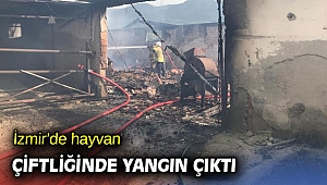 İzmir’de hayvan çiftliğinde yangın çıktı