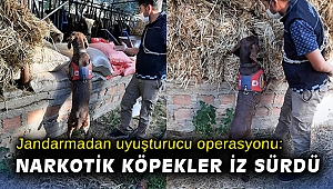İzmir'de jandarmadan uyuşturucu operasyonu: 9 gözaltı