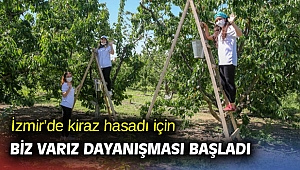 İzmir’de kiraz hasadı için Biz Varız dayanışması başladı