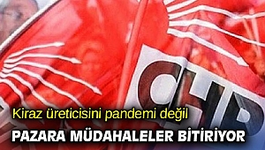 Kiraz üreticisini pandemi değil pazara müdahaleler bitiriyor