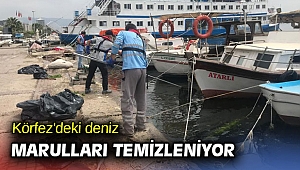 Körfez'deki deniz marulları temizleniyor