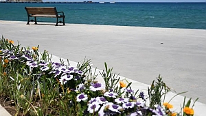Kuşadası Belediyesi'nden sahil şeridine yaz dokunuşu