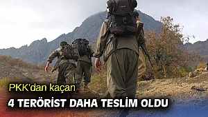 PKK'dan kaçan 4 terörist daha teslim oldu