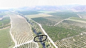 Selçuk Köprüsü ihaleye çıkıyor
