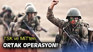 TSK ve MİT'ten ortak operasyon!