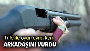 Tüfekle oyun oynarken arkadaşını vurdu