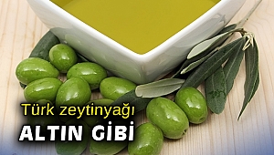 Türk zeytinyağı dolar bazında yüzde 16 değerlendi