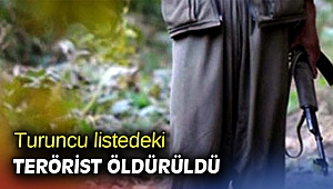 Turuncu listedeki terörist öldürüldü