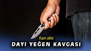 Yeğenini bıçakla yaralayan dayı tutuklandı