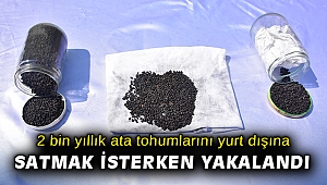 2 bin yıllık ata tohumlarını yurt dışına satmak isterken suçüstü yakalandı