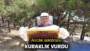 Arıcılık sektörünü kuraklık vurdu