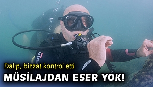 Başkan Soyer Körfez'de tüplü dalış yaptı, sualtındaki yaşamı gözlemledi