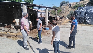Bergama’da kurban kesim yerleri denetlendi
