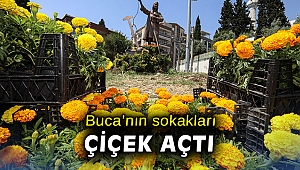 Buca'nın sokakları çiçek açtı