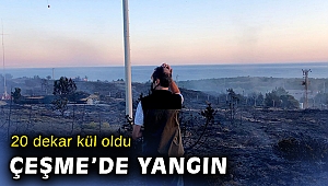 Çeşme Altınkum'da 20 dekar makilik alan yandı