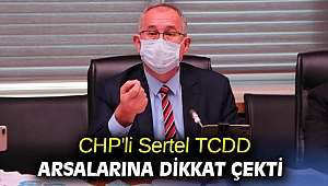  CHP'li Sertel TCDD arsalarına dikkat çekti