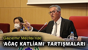 Gaziemir Meclisi’nde 'ağaç katliamı' tartışmaları