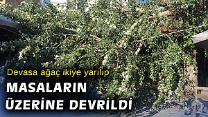 İkiye bölünen ağaç masaların üzerine devrildi, faciadan dönüldü