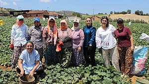 İzmir Büyükşehir'den Kiraz'daki kadınlara eğitim