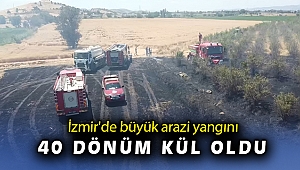 İzmir'de büyük arazi yangını: 40 dönüm arazi kül oldu   