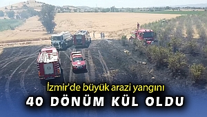 İzmir'de büyük arazi yangını: 40 dönüm arazi kül oldu
