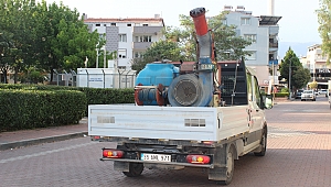 Kemalpaşa’da sinekle yoğun mücadele