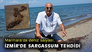 Marmara'da deniz salyası, İzmir'de Sargassum tehdidi