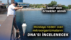 Müsilaja neden olan mikroorganizmaların DNA’sı incelenecek