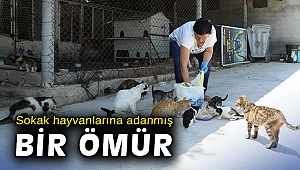 Sokak hayvanlarına adanmış bir ömür