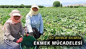 40 derece sıcakta ekmek mücadelesi