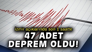 AFAD'dan açıklama: İzmir açıklarında son 1 saatte 47 adet deprem meydana geldi