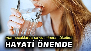 Aşırı sıcaklarda su ve mineral tüketimi hayati önemde