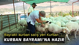 Bayraklı kurban satış yeri Kurban Bayramı'na hazır