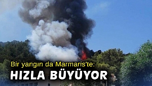 Bir yangın da Marmaris'te: Hızla büyüyor
