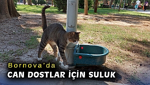 Bornova’da can dostlar için suluk