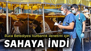 Buca Belediyesi kurbanlık denetimi için sahaya indi