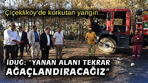 Çiçekliköy’de korkutan yangın… İduğ: “Yanan alanı tekrar ağaçlandıracağız”