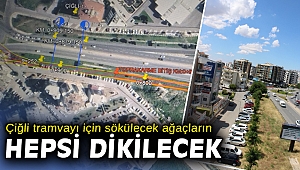 Çiğli’de sökülecek ağaçlar tramvay gelince dikilecek