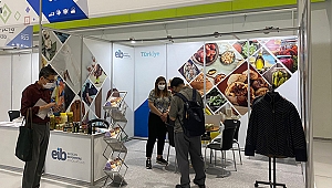 Ege Bölgesi'nden Güney Kore'ye yapılan ihracat ikiye katlandı