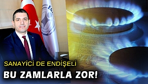 EGİAD: Zamlar sanayiye ket vurabilir