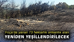 Foça’da yanan 73 hektarlık ormanlık alan yeniden yeşillendirilecek
