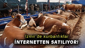 İnternet ilanıyla kurbanlık satışı