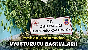 İzmir'de jandarmadan uyuşturucu baskınları: 12 gözaltı