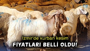 İzmir’de kurban kesim fiyatları belli oldu