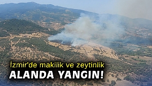 İzmir'de makilik ve zeytinlik alanda yangın!